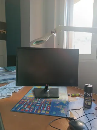 Schermo LG Nero 21 Pollici