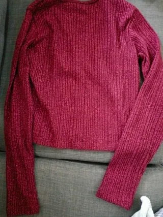 Top brillante manga larga