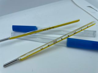 2 Rilevatore temperatura corporea