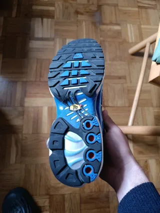 Nike Air Max TN azules y blancas