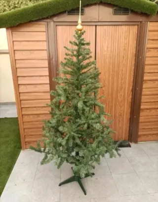 Alberi di Natale a partire da 4,99€