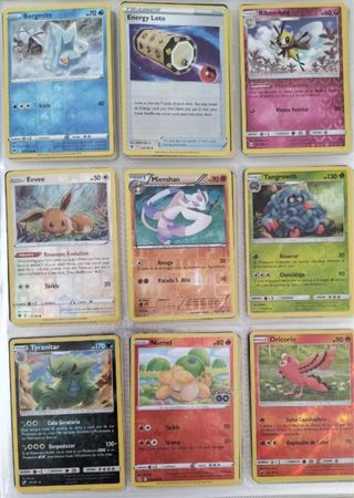 Colección Cartas Pokémon