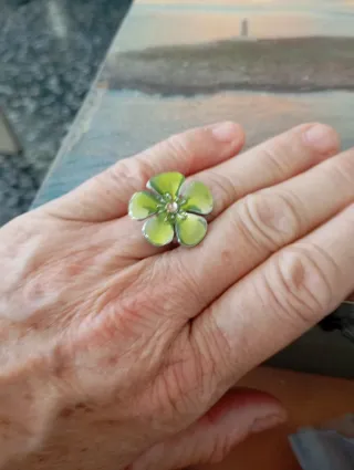 Lote de 5 Anillos Ajustables