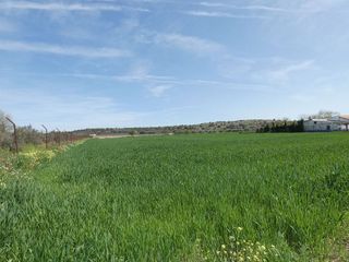 Terreno en venta en Almagro