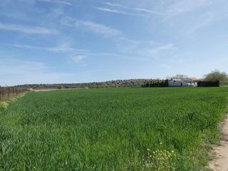 Terreno en venta en Almagro