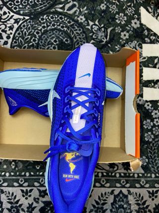 Nike Pegasus Plus Scarpe da Corsa Blu