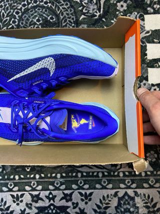 Nike Pegasus Plus Scarpe da Corsa Blu