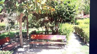 Piso en alquiler en Prosperidad en Madrid