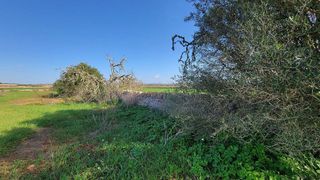 Solar en venta en Campos