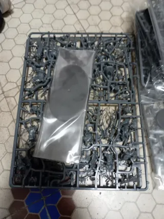 Lote Age of Sigmar Sylvanesh