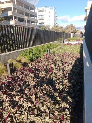 Piso en alquiler en Poniente-Faro en Vélez-Málaga
