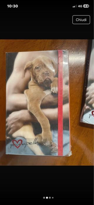 Quaderno con cucciolo di cane