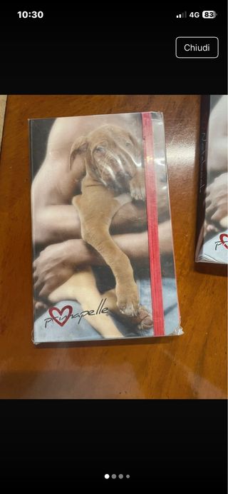 Quaderno con cucciolo di cane