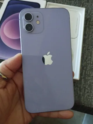 iPhone 12 viola