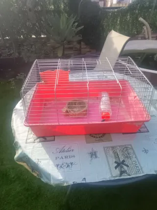 Jaula conejo/cobaya (marrón/rojo)