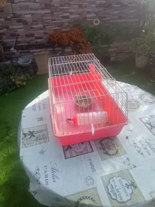 Jaula conejo/cobaya (marrón/rojo)