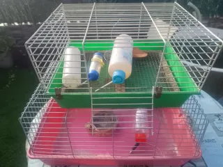 Jaula conejo/cobaya (marrón/rojo)