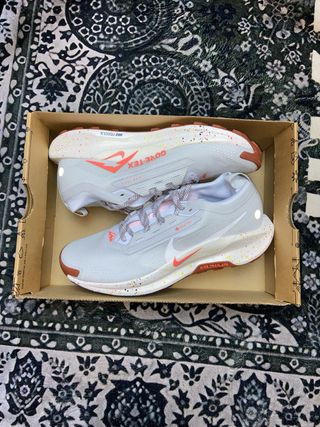 Nike reactx Pegasus Trail 5 Gore-Tex Scarpe Uomo