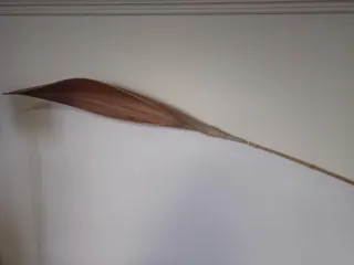 Hoja decorativa seca