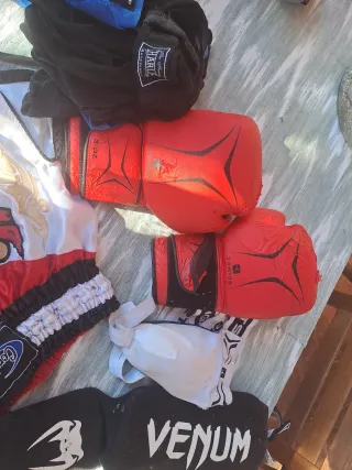 Kit Muay Thai Venum: Pantalón, Guantes, Espiniller