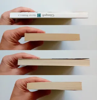 Giùnapoli di Silvio Perrella