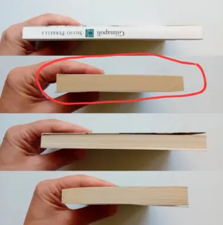 Giùnapoli di Silvio Perrella