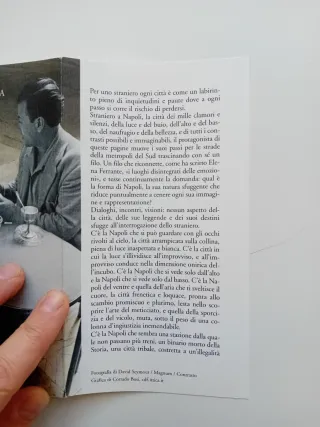 Giùnapoli di Silvio Perrella