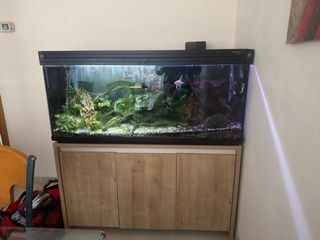 Acuario 240L con mueble con todo lo necesario