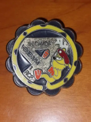 Insignias militares vintage(military)