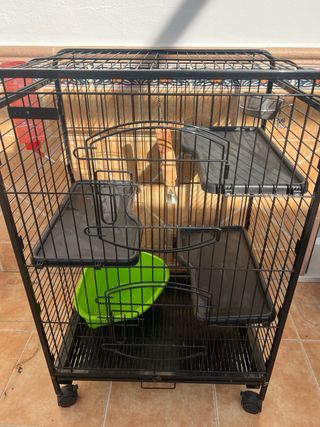 Jaula para roedores con accesorios