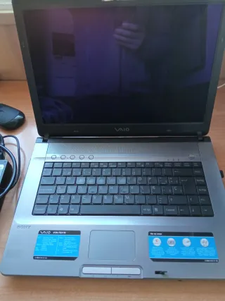 Sony Vaio 15.4 Argento