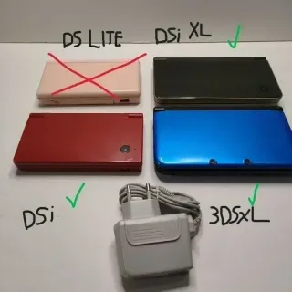 Caricatore Nintendo DSi/2DS/3DS XL/New NUOVO