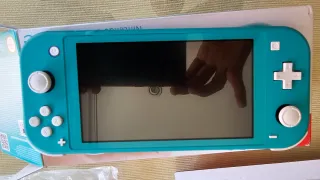 Componenti Nintendo Switch Lite