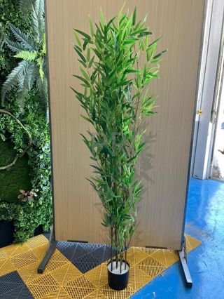 Árbol Bamboo