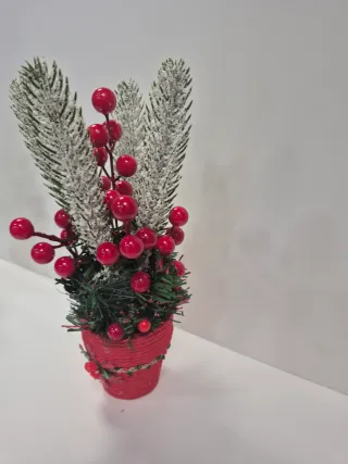 Decorazione Natalizia: Alberi con Bacche