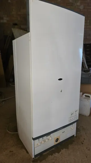 Caldera Ariston Genus