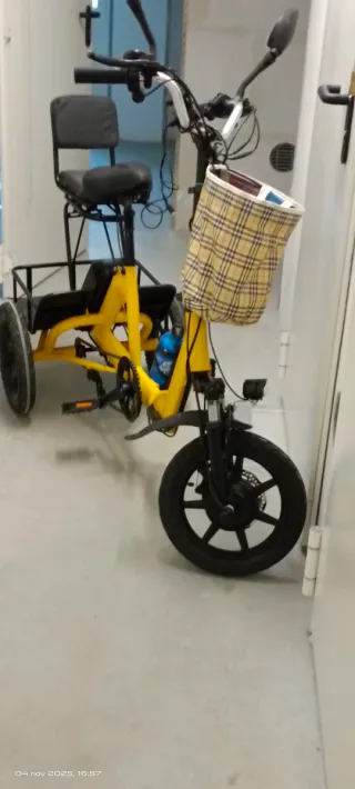 Triciclo Eléctrico Carga