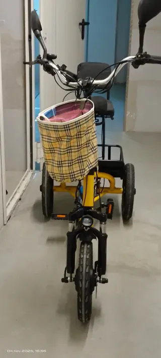 Triciclo Eléctrico Carga