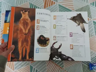 1000 Maravillas de la Naturaleza