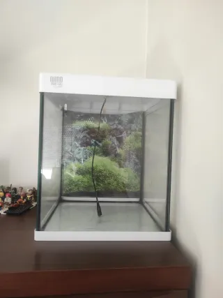 Acquario Nano Aqua Led Bianco