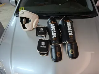 Protecciones Kick Boxing Buddha y Shark