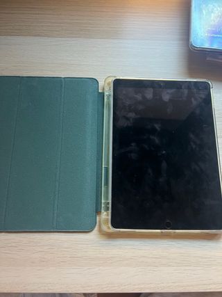 iPad Pro 10,5 256GB WiFi+Cellular + custodia iPad