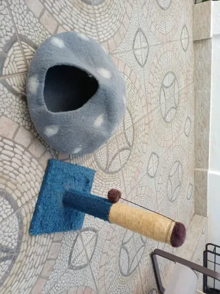 Casetta e gratta-gatto per gatti