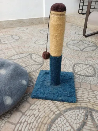 Casetta e gratta-gatto per gatti