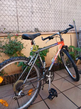 Bicicleta Trek