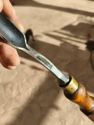 Gubias Inglesas Acodadas Modelista