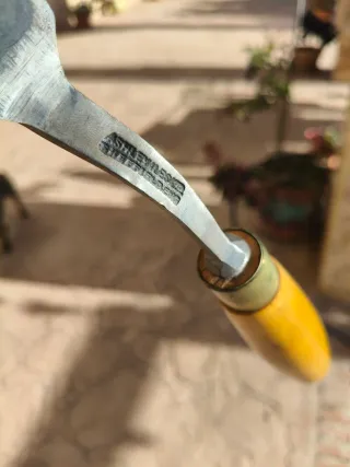 Gubias Inglesas Acodadas Modelista