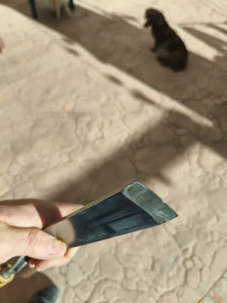 Gubias Inglesas Acodadas Modelista