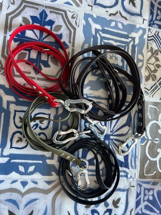 Lote 3 Correas para Perro