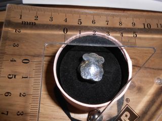 Anillo Tous Oso Plata